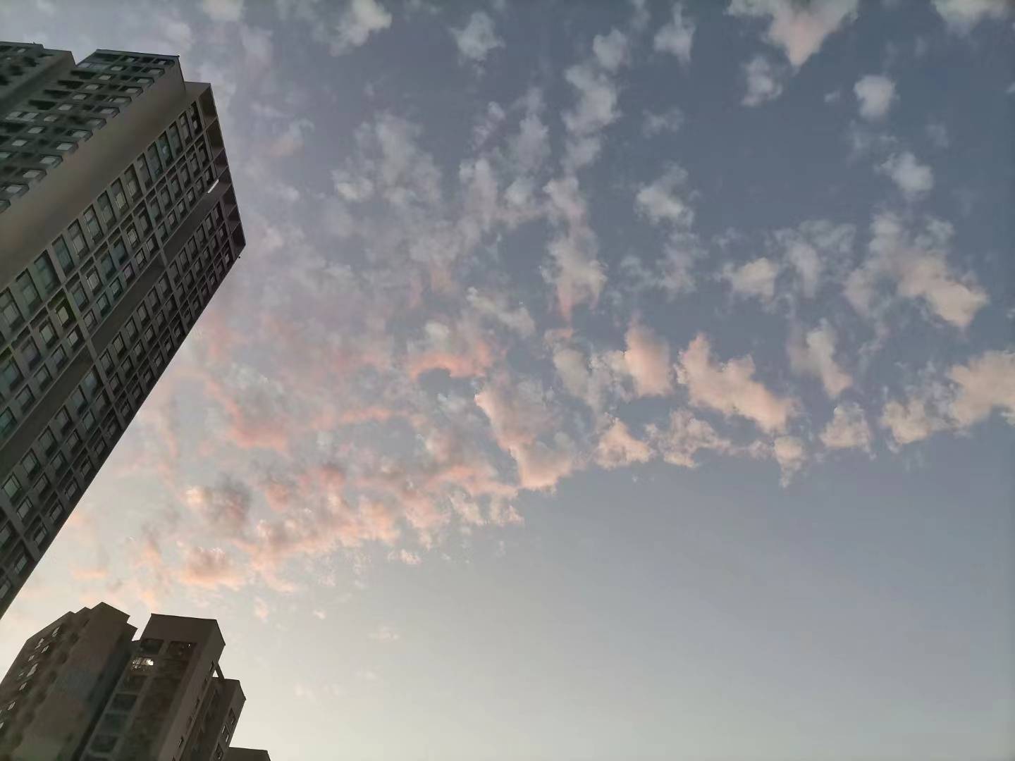华为音效好的手机铃声
:华为最“青睐”的专科院校，不仅就业率高，而且薪资待遇好