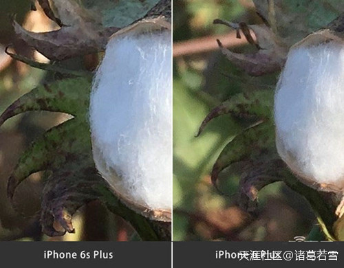 华为畅想6s手机壁纸
:感受新一代iPhone 6s Plus 神机优秀的设计与体验<strongalt=