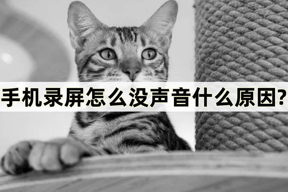 oppo手机怎么分屏:手机录屏怎么没声音什么原因?教你怎么录屏方便