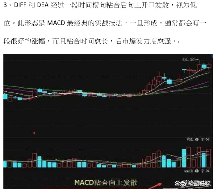 选股达人安卓版免费的智能选股软件-第2张图片-太平洋在线下载