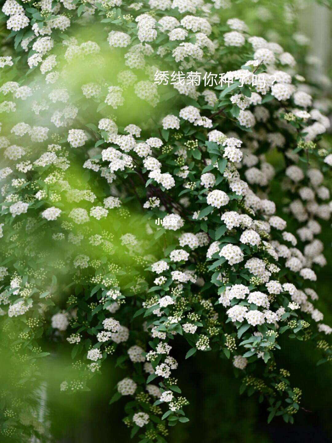 包含首页爆菊花电影手机版的词条-第2张图片-太平洋在线下载