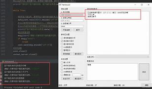 showdownsocks客户端pokemonshowdown对战平台网址
