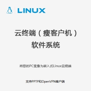 客户端主机系统服务器用u盘重装系统