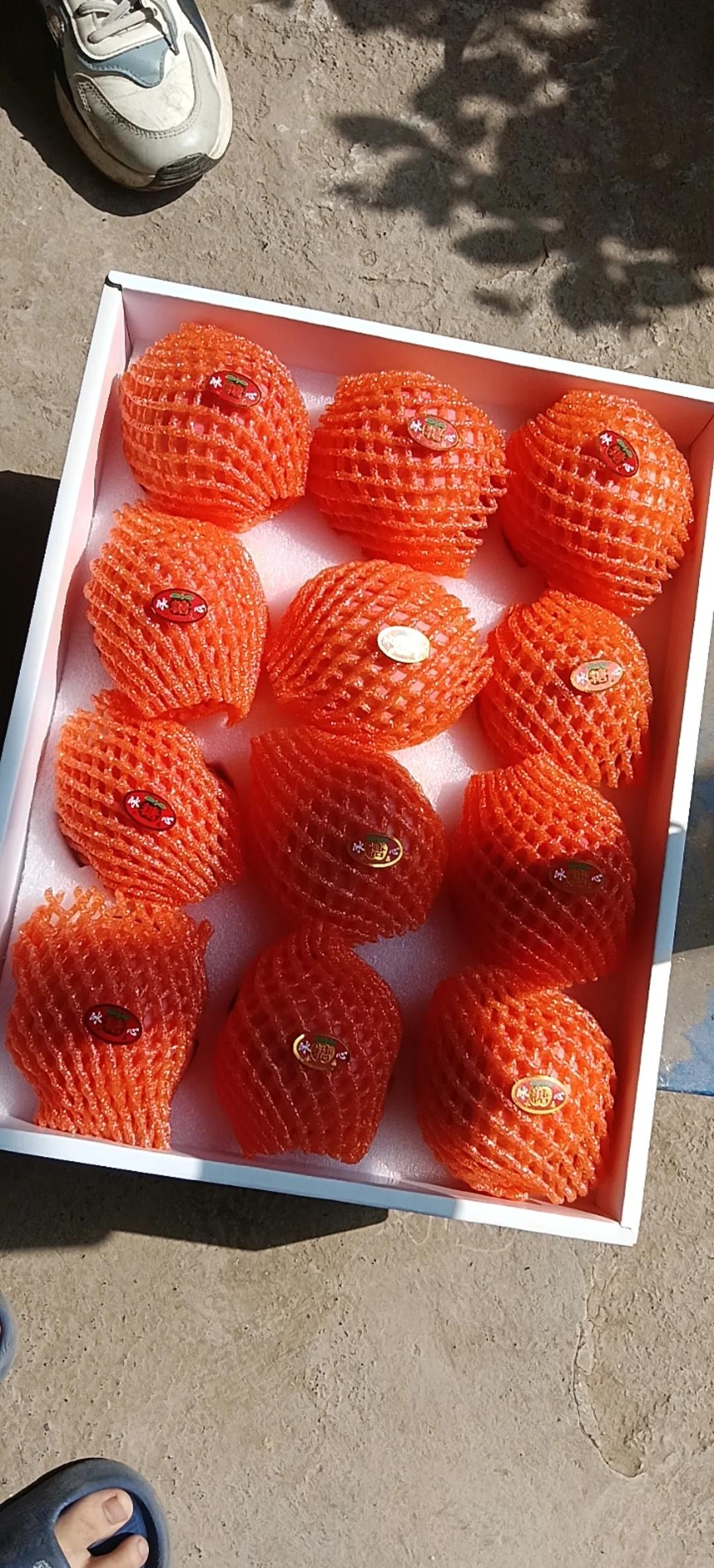 水果白卡苹果版(ios水果卡是什么)-第15张图片-有道翻译官网 水果白卡苹果版(ios水果卡是什么)-第15张图片-有道翻译官网