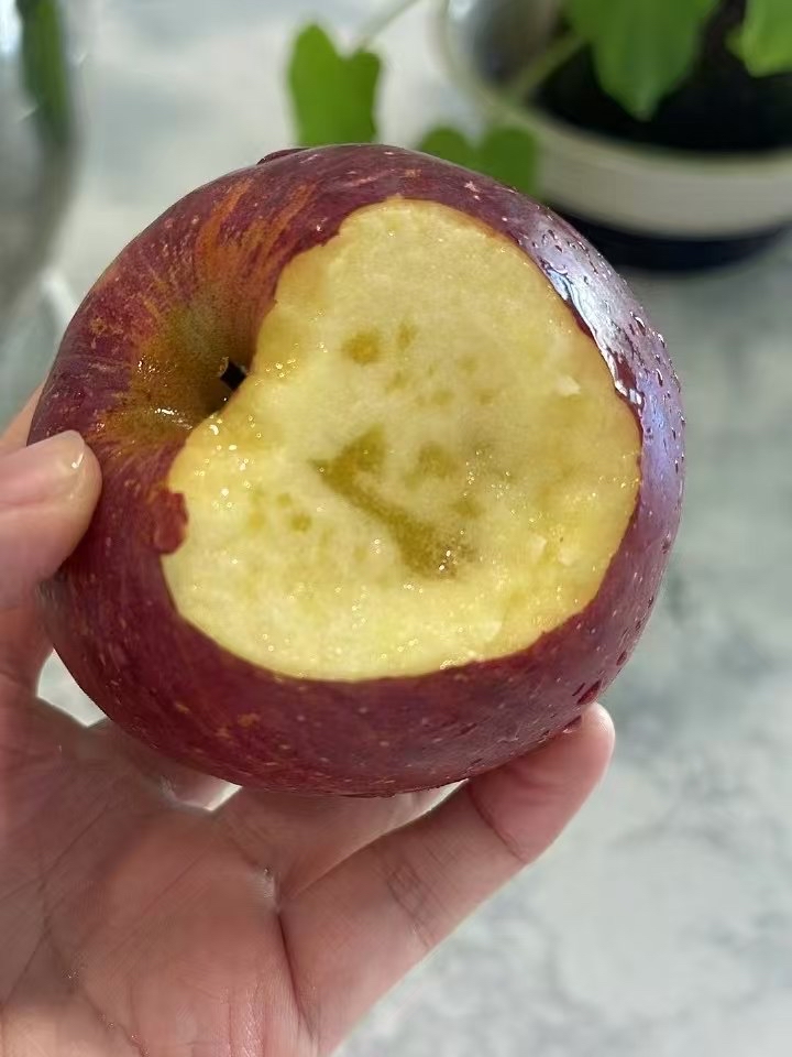 日语版的坏苹果(坏苹果中文版填词翻唱)-第2张图片-有道翻译官网 日语版的坏苹果(坏苹果中文版填词翻唱)-第2张图片-有道翻译官网