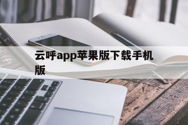 关于云呼app苹果版下载手机版的信息-第3张图片-有道翻译官网
