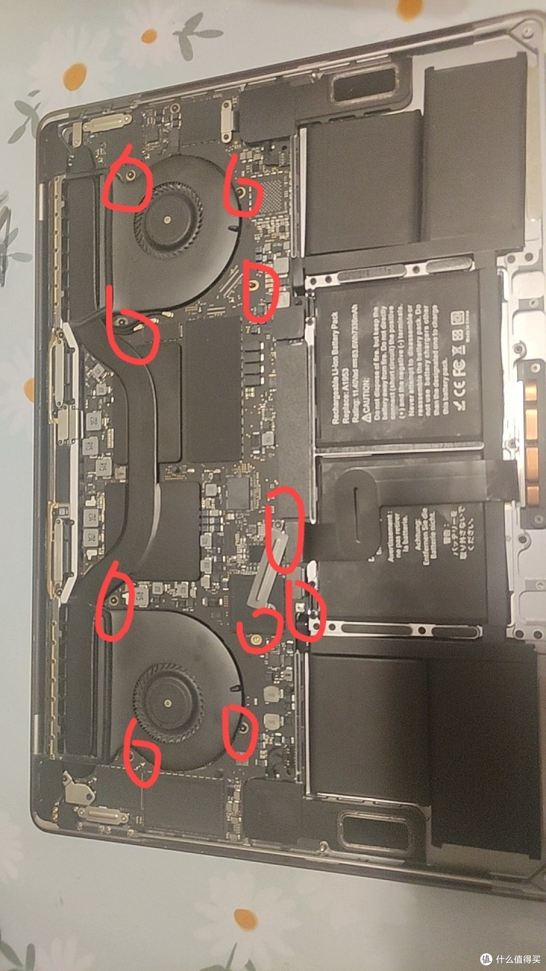 Ti版苹果电池排线(iphone电池排线)-第4张图片-有道翻译官网 Ti版苹果电池排线(iphone电池排线)-第4张图片-有道翻译官网