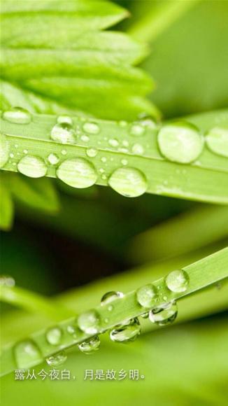 荔枝fm苹果手机版(荔枝fm苹果版添加音乐)-第5张图片-有道翻译官网